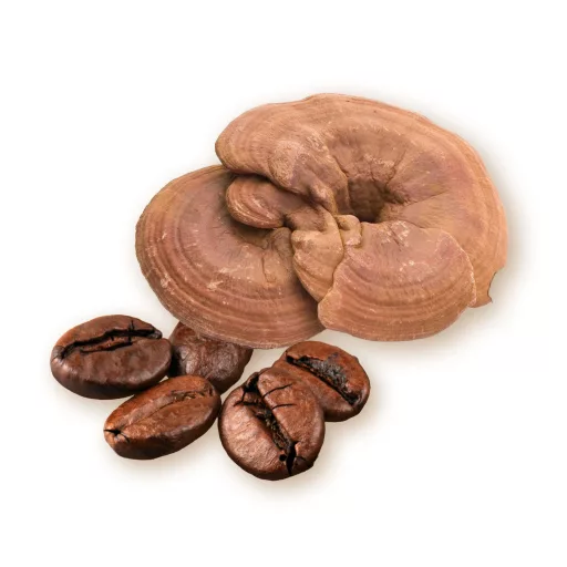 Caleido Arabica a Ganoderma Káva 100 g surovina
