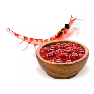 Caleido Krill Olej kapsle 60 ks obrázek produktu