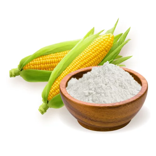 Caleido Fibersol-2 Vláknina 200 g surovina