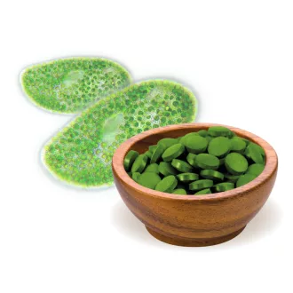 BioMenü bio Chlorella tablety 125 g obrázek produktu