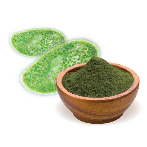BioMenü bio Chlorella prášek 250 g surovina