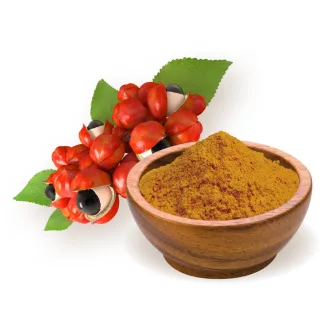 BioMenü bio Guarana prášek 60 g obrázek produktu