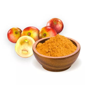 BioMenü bio Camu Camu prášek 60 g obrázek produktu