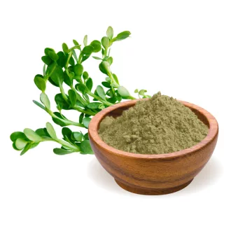 BioMenü bio Brahmi prášek 125 g obrázek produktu