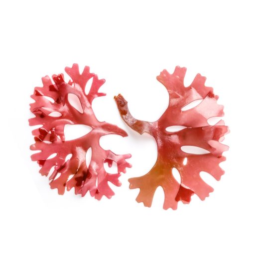 Caleido Astaxanthinové gelové kapsle 60 ks surovina