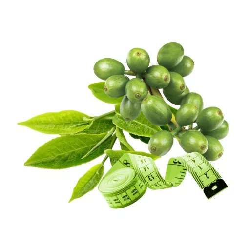 Caleido GreenSlim Zelená Káva a Zelený Čaj kapsle 60 ks surovina