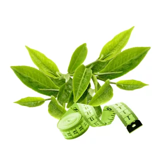 Caleido GreenSlim Zelený Čaj kapsle 90 ks obrázek produktu