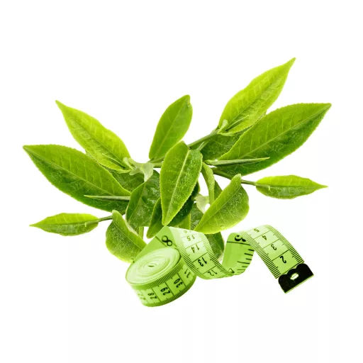 Caleido GreenSlim Zelený Čaj kapsle 90 ks