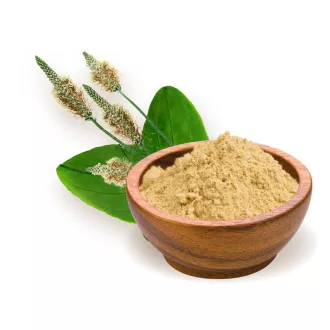 BioMenü bio Jitrocelové Slupky mouka 125 g obrázek produktu