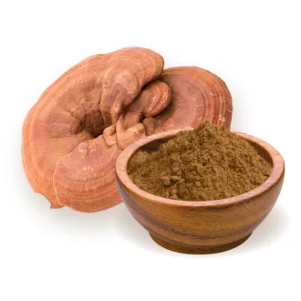 BioMenü bio Ganoderma Houbový prášek 100 g obrázek produktu