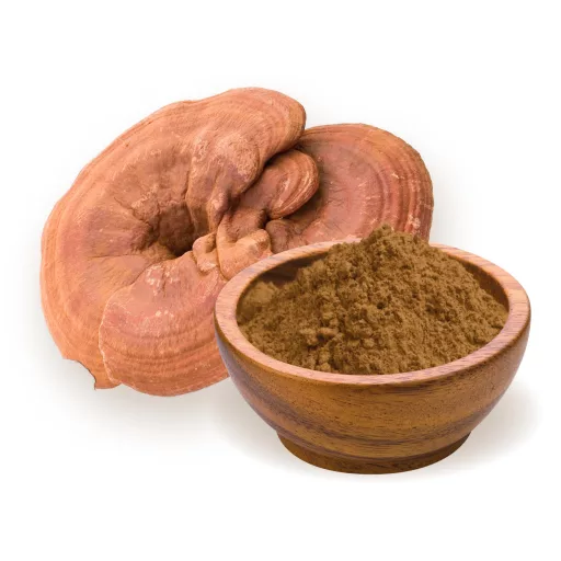 BioMenü bio Ganoderma Houbový prášek 100 g surovina