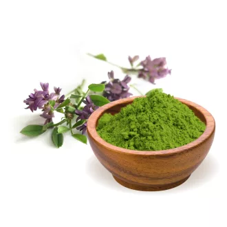 BioMenü bio Vojtěška prášek 125 g obrázek produktu