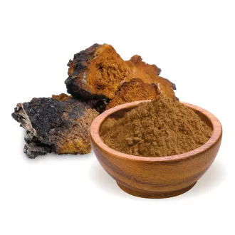 BioMenü bio Chaga Houbový prášek 100 g obrázek produktu