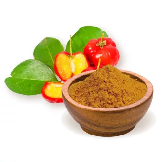BioMenü bio Acerola Bobule prášek 60 g obrázek produktu