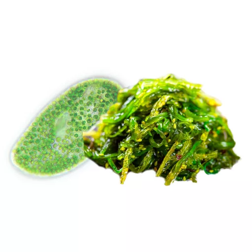 BioMenü bio Chlorella a Spirulina kapsule 60 ks surovina