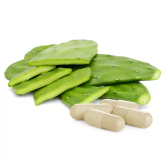 Caleido Opuncie + Prebiotické kapsle 60 ks obrázek produktu