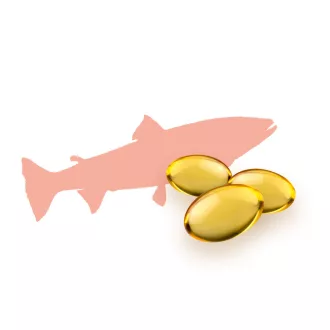 Caleido Lososový Olej + Brutnákový Olej omega 3-6-9 kapsle 60 ks obrázek produktu