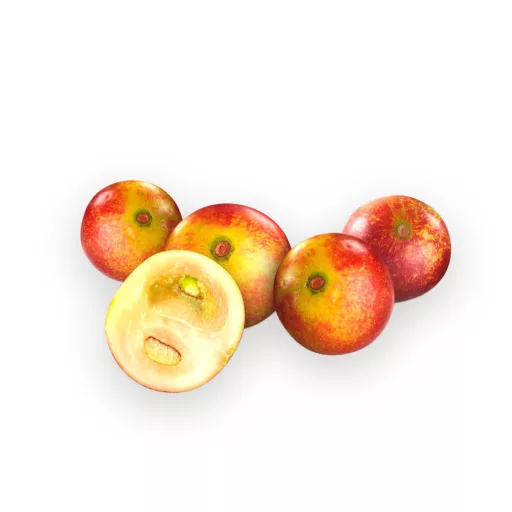BioMenü BIO CAMU CAMU kapszula 60 db alapanyag