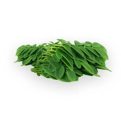 BioMenü bio Moringa kapsle 60 ks surovina