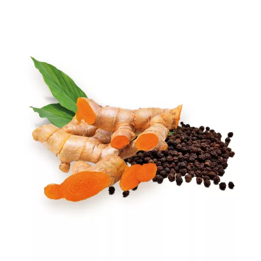 BioMenü bio Kurkuma + Černý Pepř kapsle 60 ks surovina