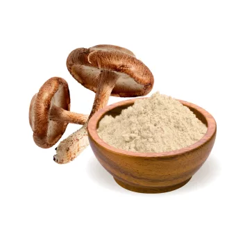 BioMenü Bio Shiitake Houbový prášek 100 g obrázek produktu