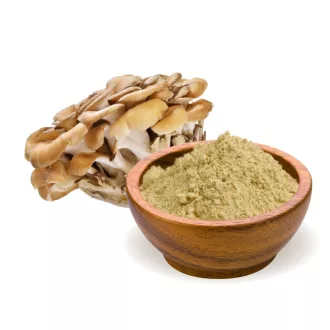 BioMenü Bio Maitake Houbový prášek 100 g obrázek produktu