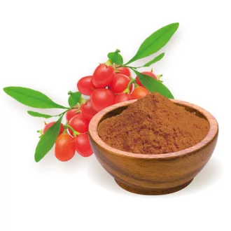 BioMenü bio Goji Bobule prášek 60 g obrázek produktu