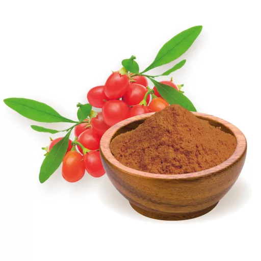 BioMenü bio Goji Bobule prášek 60 g surovina