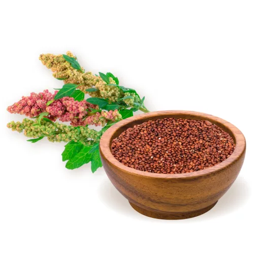 BioMenü bio Quinoa červená 250g surovina