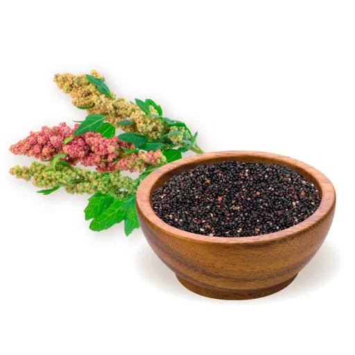 BioMenü bio Quinoa černá 250g surovina
