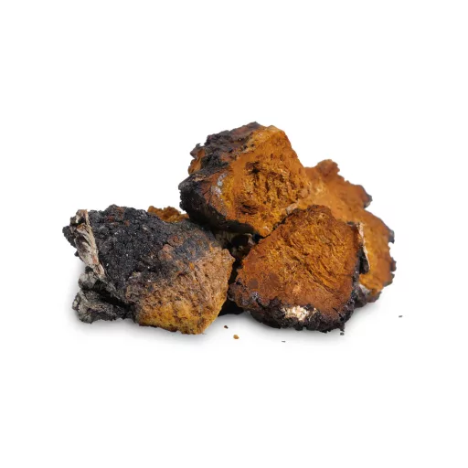 BioMenü bio Chaga houba kapsle 60 ks surovina