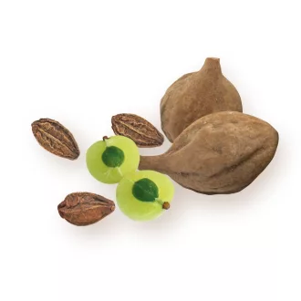 BioMenü bio Triphala kapsle 60 ks obrázek produktu