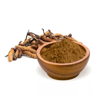 BioMenü Bio Cordyceps sinensis Houbový prášek 100 g obrázek produktu
