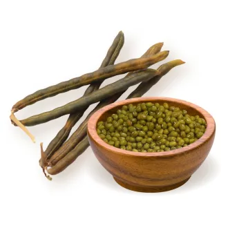 BioMenü Bio Mungo Fazole 500g obrázek produktu