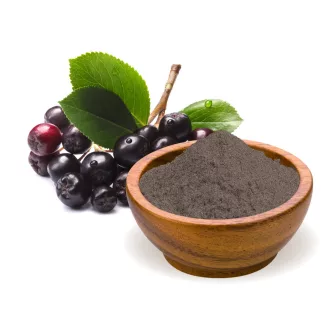 BioMenü Bio Arónie prášek 125 g obrázek produktu