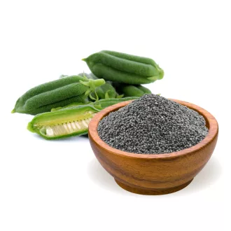 BioMenü Bio SEZAMOVÁ SEMENA černá 250 g obrázek produktu