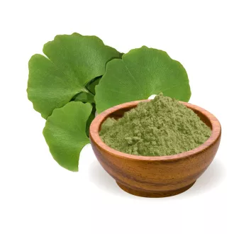BioMenü bio Ginkgo Biloba prášek 100 g obrázek produktu