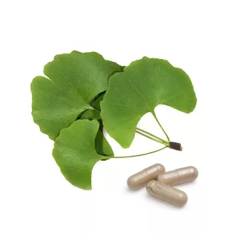 BioMenü Bio Ginkgo Biloba kapsle 60 ks obrázek produktu