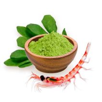 Kardiovaskulární systém