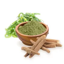 Hormonální rovnováha