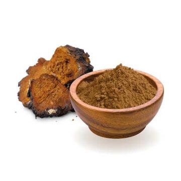 Chaga