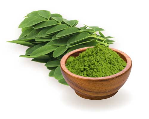 Moringa